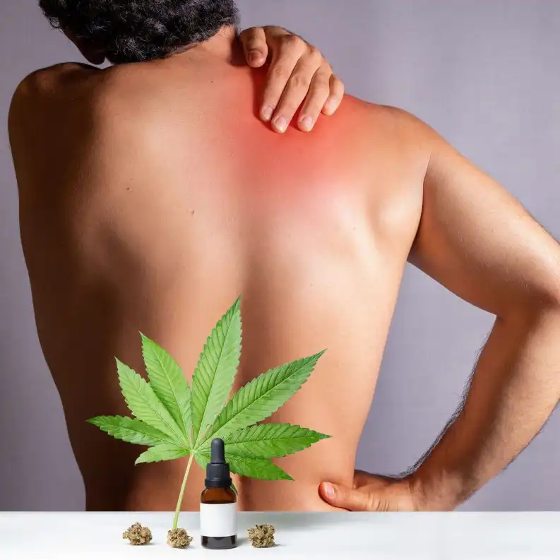 CBD for Pain